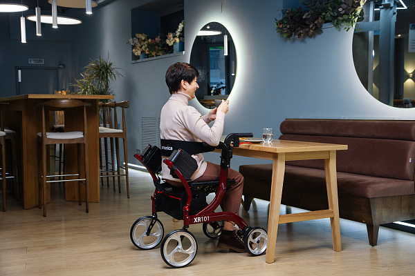 работающие пенсионеры